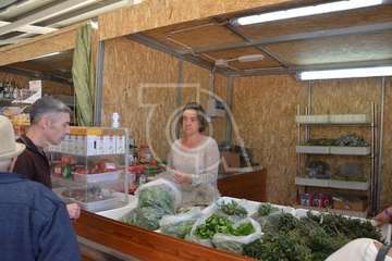 Narea abre como recova con ambiente navideño y de satisfacción general (Foto Francisco Javier Santana y TA)